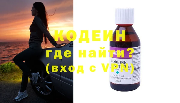 дживик Няндома