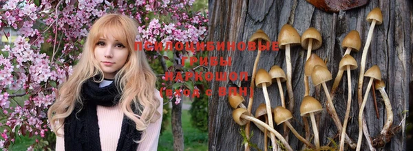 герыч Балахна