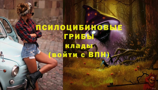ECSTASY Нязепетровск